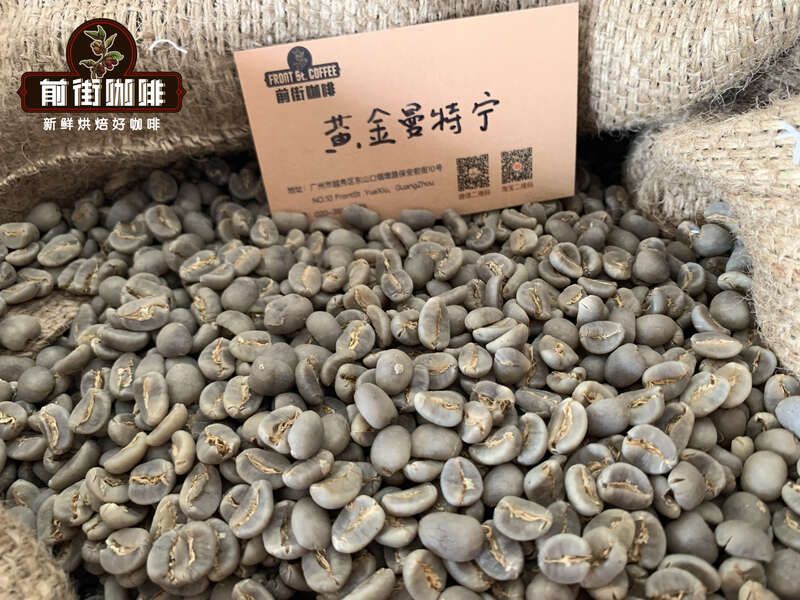 黄曼生豆9313
