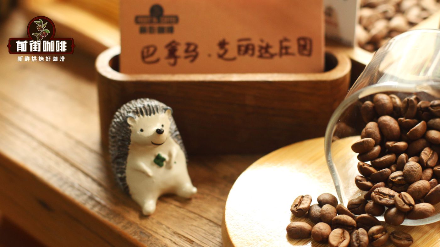 艾丽达庄园6650 艾丽达庄园6650