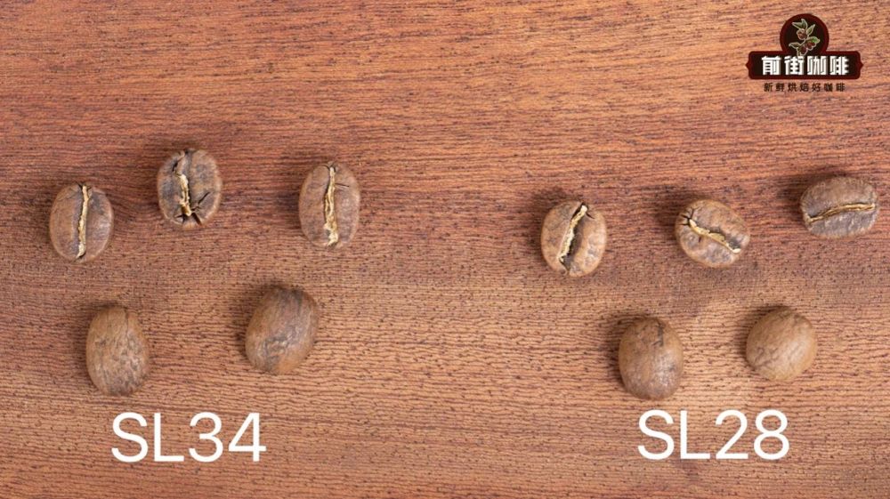 sl28和sl34 sl28和sl34