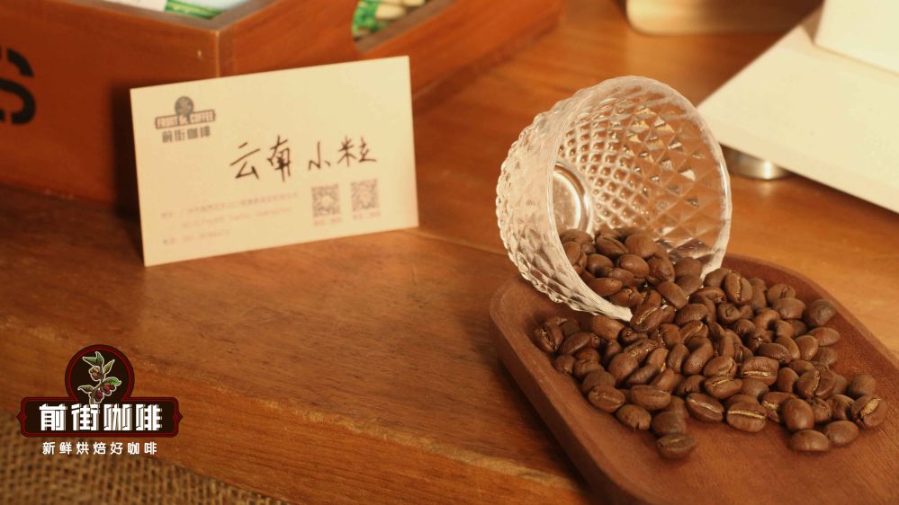 Юньнань小粒537 Юньнань小粒537