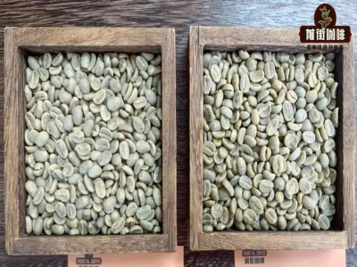 PNG coffee | Почему кофе из Папуа - Новой Гвинеи называют «маленькой Голубой горой»? В чём особенности вкуса мытого типики «Райская птица» с плантации Сигри?