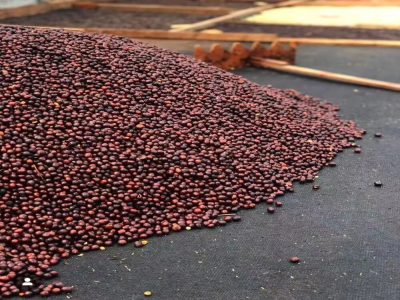 Caturra и Catuai — оба являются разновидностями арабики? В чём разница в их вкусовых характеристиках?
