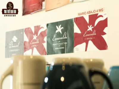 Panama Hacienda La Esmeralda Geisha | В чём разница между красной маркировкой Geisha и зелёной маркировкой Geisha (гейша)? Как Hacienda La Esmeralda классифицирует Geisha по уровням и какова история этого?